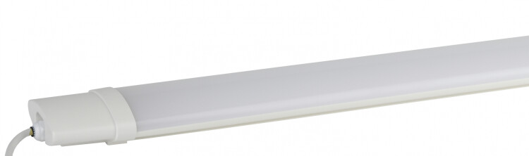 Светодиодный светильник LED SPP-3-40-6K-M ЭРА Светодиод. св-к IP65 1234мм 36Вт 3060Лм Ra>80 6500K мат | Б0037306 | ЭРА