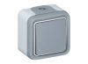 Plexo Серый Выключатель/Переключатель 1-клавишный наружный монтаж 10А (в сборе) IP55 | 069711 | Legrand