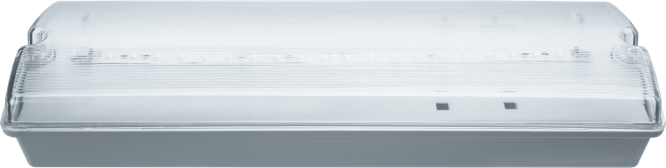 Светильник аварийного освещения светодиодный 3Вт NEF-07 (IP65) | 61496 | Navigator